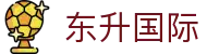 东升国际 - 追求极致感官享受的数字化娱乐先行者